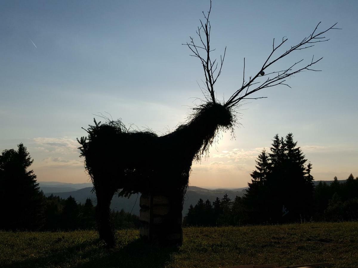Ferienhaus Am Kirchberg Kurort Steinbach-Hallenberg Esterno foto