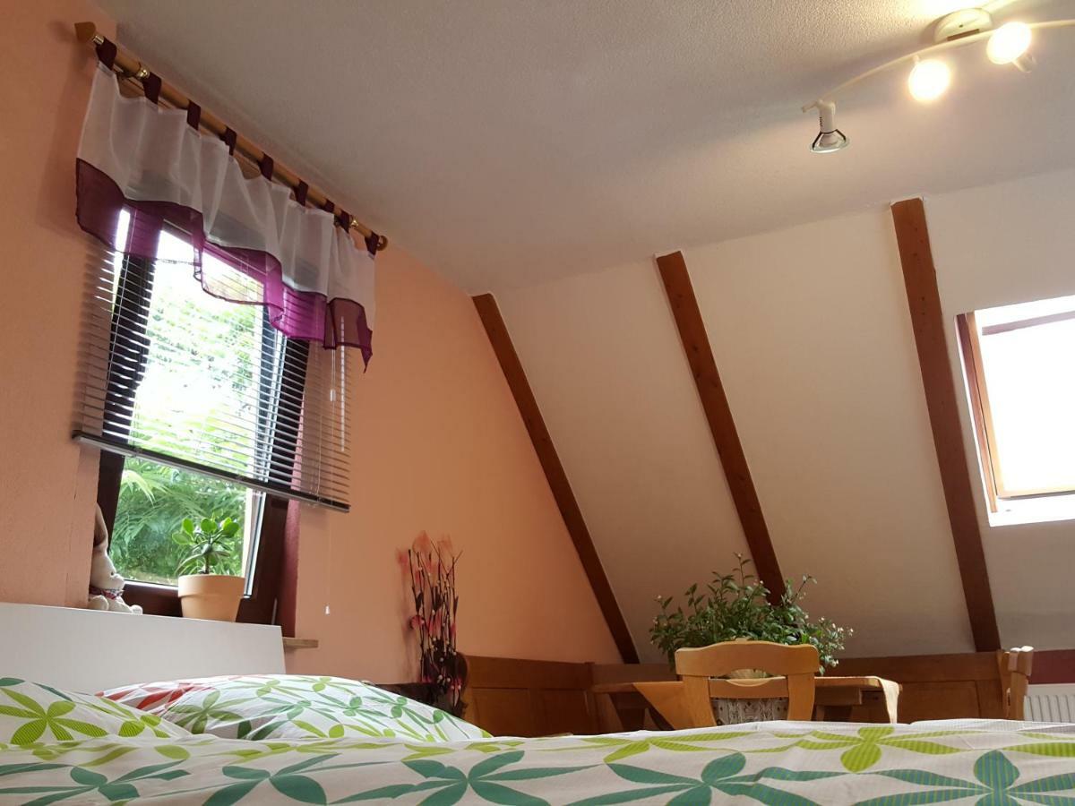 Ferienhaus Am Kirchberg Kurort Steinbach-Hallenberg Esterno foto