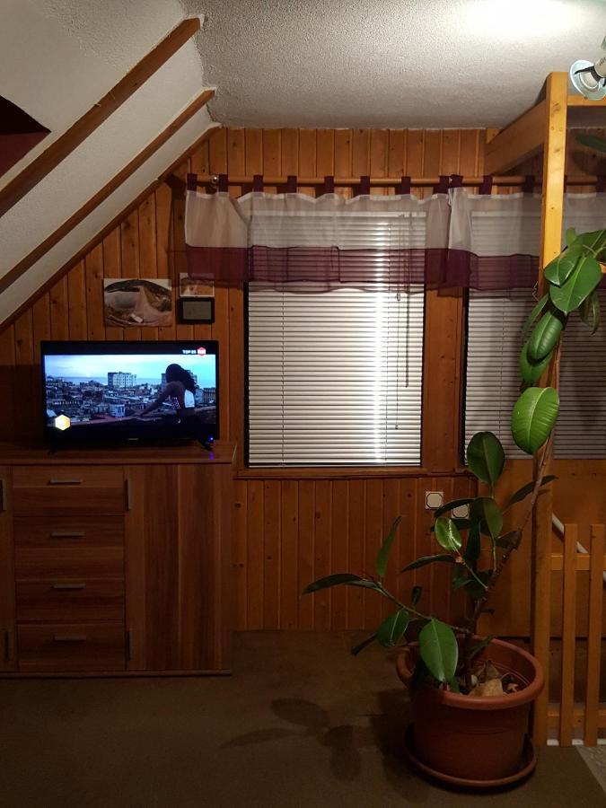 Ferienhaus Am Kirchberg Kurort Steinbach-Hallenberg Esterno foto