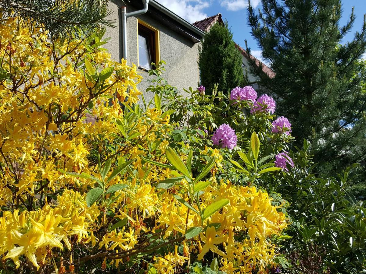 Ferienhaus Am Kirchberg Kurort Steinbach-Hallenberg Esterno foto