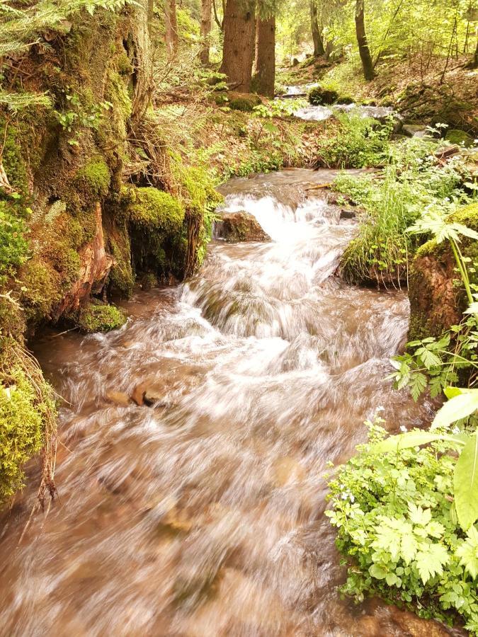 Ferienhaus Am Kirchberg Kurort Steinbach-Hallenberg Esterno foto