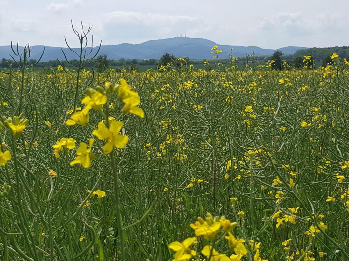 Ferienhaus Am Kirchberg Kurort Steinbach-Hallenberg Esterno foto